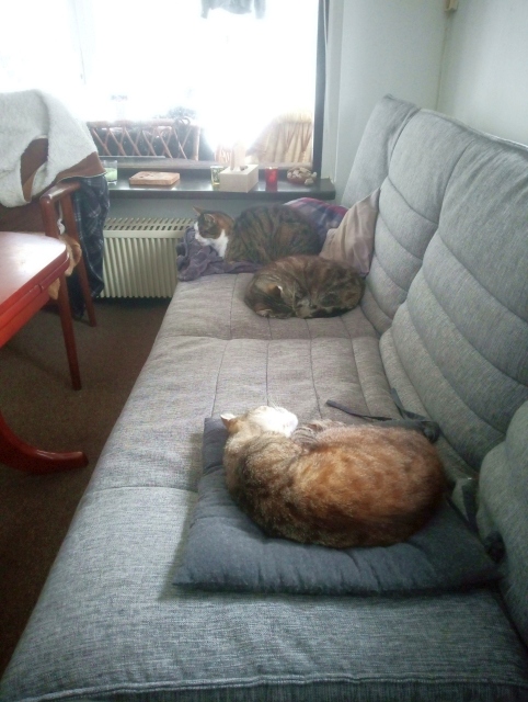Drei auf dem Sofa