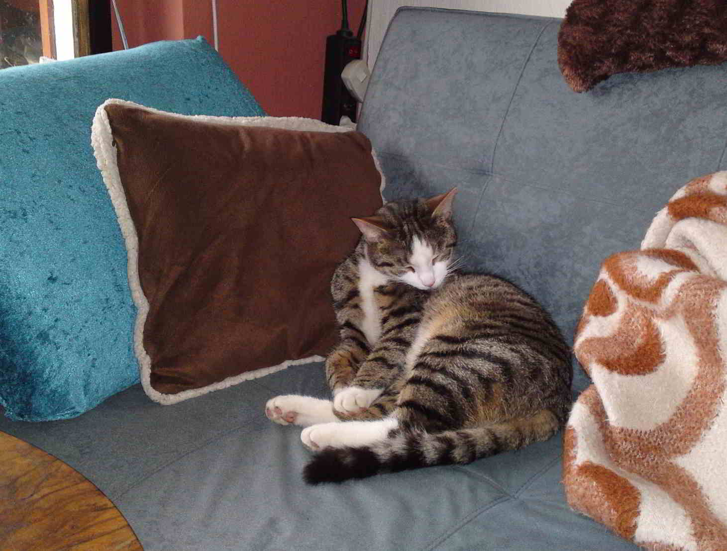 Neko faul