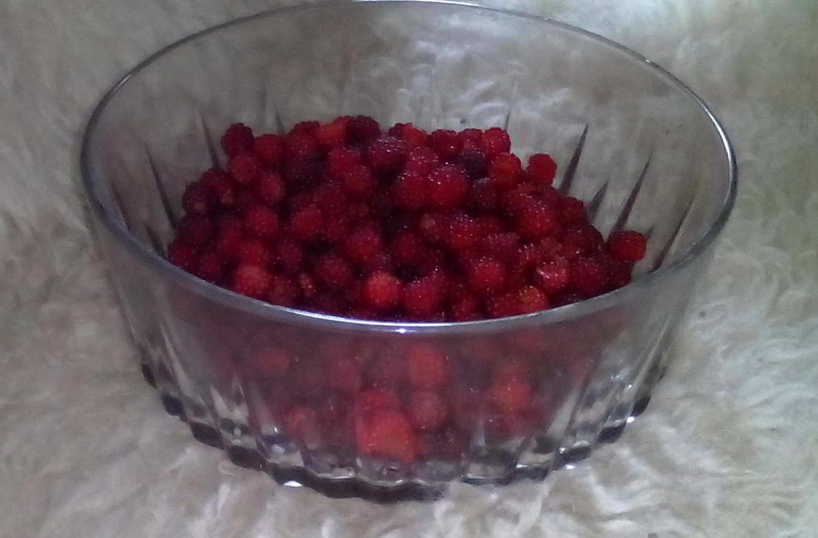 Weinbeeren